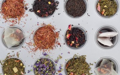 Introduction To Traditional Chinese Medicine (TCM)
